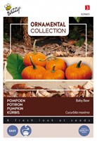 Selezione di Semi Ortaggi Ornamentali: Zucca 'Baby Bear'