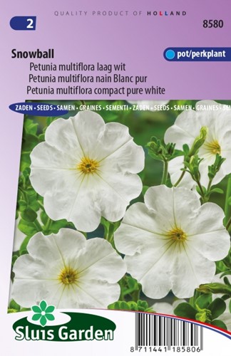 Petunia Multiflora Snowball - Petunia Nana Compacta