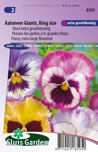Viola Aalsmeer Giants – Viola Wittrockiana