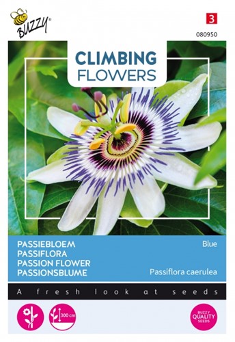 Selezione semi Piante Rampicanti Passiflora 'Caerulea'