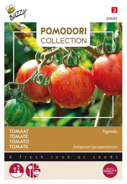 Sementi da orto - semi di pomodoro principe borghese - sem. dotto