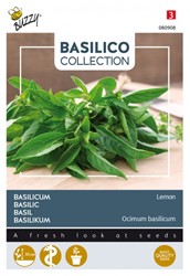 Basilico Limone (Ocimum Basilicum)