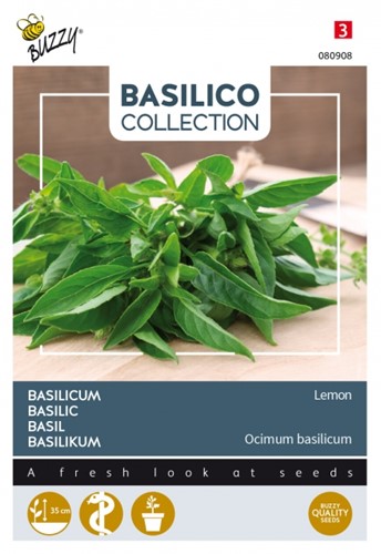 Basilico Limone (Ocimum Basilicum)