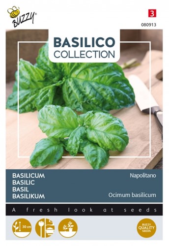 Basilico a foglia di lattuga I (Ocimum Basilicum)