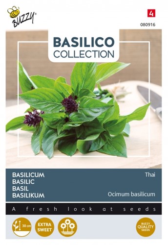 Basilico Thailandese var. Siam (Ocimum Basilicum)