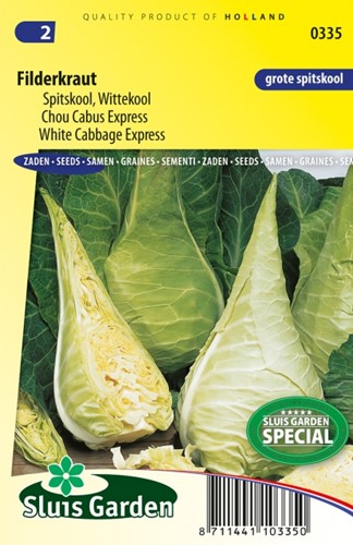 Cavolo Filderkraut - Hilmar
