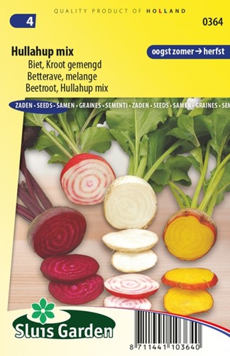 Barbabietola Hullahup Mix - Beta vulgaris