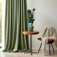 Zamioculcas Zamiifolia - Ø14cm - 55cm-2