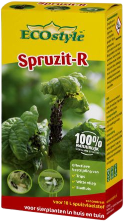 Spruzit R-bug insetticide concentrato 100 ml - Ecostyle