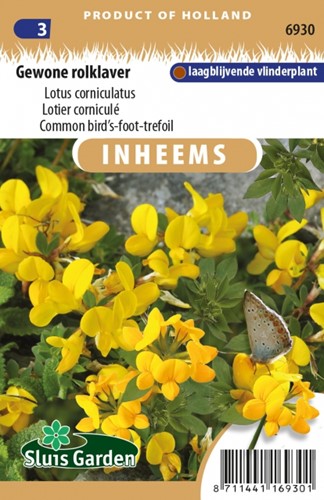 Common bird's-foot-trefoil - Lotus corniculatus