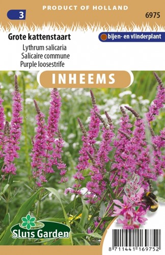 Salcerella - Lythrum salicaria
