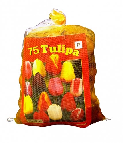 Tulipani Darwin Mix (Confezione XL) - 75 Bulbi