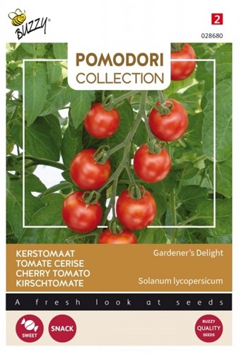 Pomodoro ciliegino Delizia del giardiniere - Collezione Pomodori