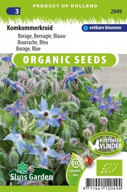 Borragine Blu EKO - Borago officinalis