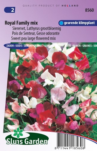 Cicerchia odorosa Royal Family Mix – Lathyrus Odoratus