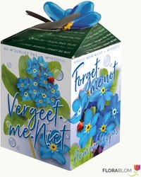 Greengift Non ti scordar di me – kit regalo con semi e vasetto