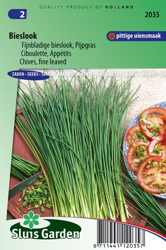 Erba cipollina Belle (Allium schoenoprasum)