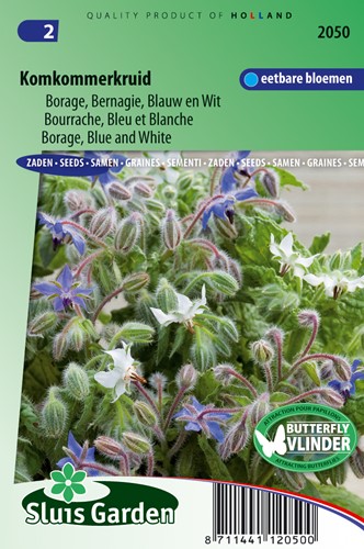 Borragine blu e bianco (Borago officinalis)