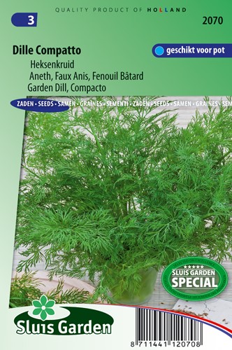 Aneto Compatto - Anethum Graveolens