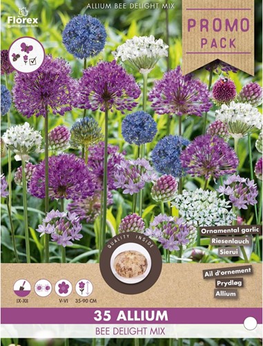 Allium Bee Delight Mix - Sierui