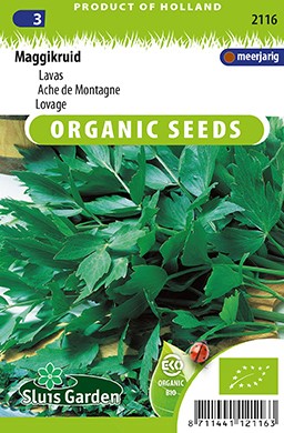 Levistico, Sedano del Monte EKO - Levisticum Officinalis
