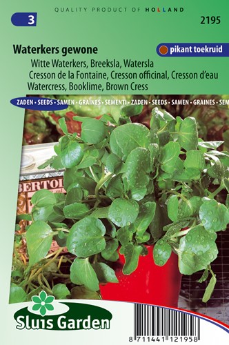 Crescione d'Acqua (Nasturtium officinale)