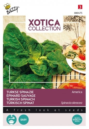 Selezione semi ortaggi dal mondo: Spinacio Turco (Spinacia Oleracea)