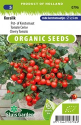 Cherry Tomato Koralik EKO