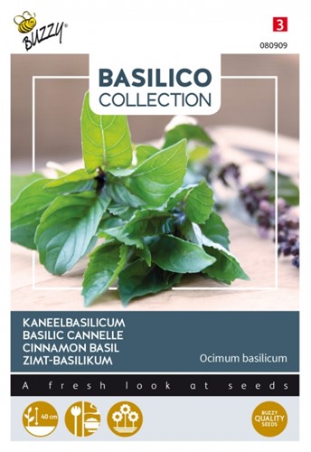Basilico Cinnamomo (Ocimum Basilicum)