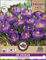 Crocus Flower Record - 30 crocus promo pack-2