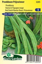 Fagiolo rampicante 'Vincitore' - Phaseolus coccineus