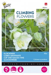 Selezione semi Piante Rampicanti : Cobaea Scandens 'Alba'