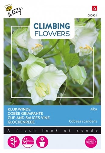 Selezione semi Piante Rampicanti : Cobaea Scandens 'Alba'