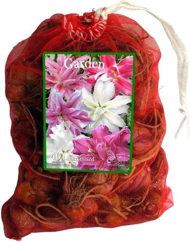 Mix di Gigli orientali doppi - Lilium (Confezione Grande XL)