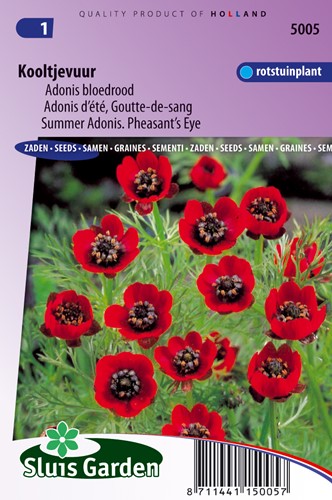 Coal Fire Incarnadine