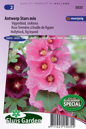 Malvarosa Antwerp Stars mix - Alcea Rosea