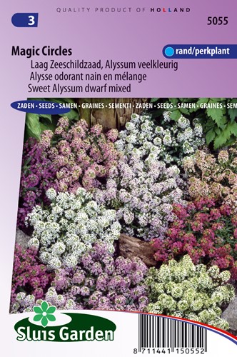 Alisso mix Magic Circles - Alyssum