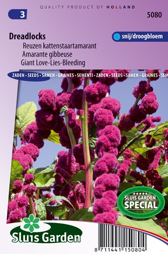 Amaranto Gigante 'Dreadlocks' - Amaranthus