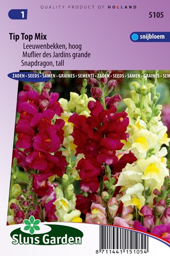 Tip Top Mix di Bocca di Leone (Antirrhinum)