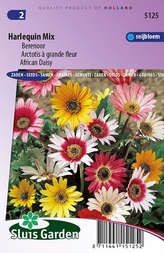 Bere Noor Arlecchino Mix