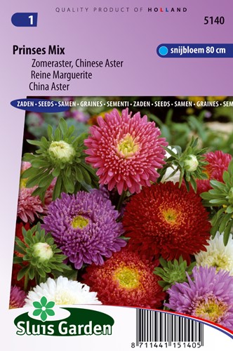 Astro cinese 'Principessa' Mix (Aster estivo)