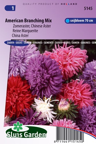 Aster American Branching mix