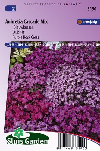 Mix di Aubretia tappezzanti (Aubretia)