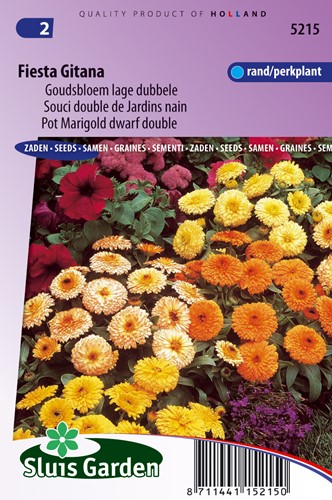 Calendula mix 'Fiesta Gitana'