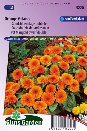 Calendula ‘Orange Gitana’ – Calendula officinalis