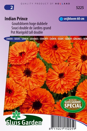 Calendola doppio fiore Indian Prince - Calendula officinalis