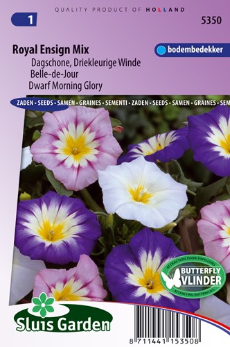 Morning Glory, mix Tricolore Winde Reale Ensign