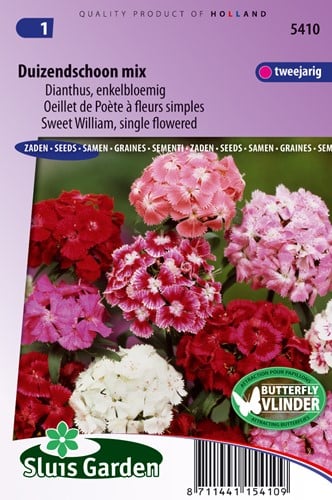 Duizendschoon singolo fiore mescolato
