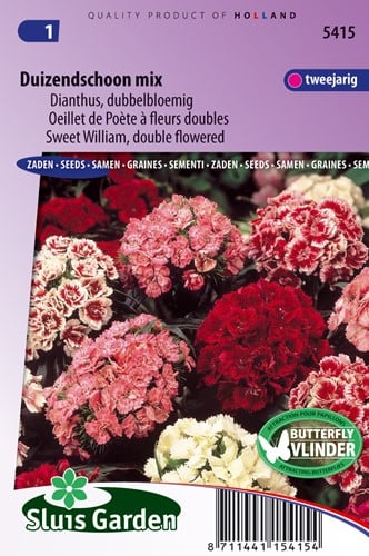 Mix Garofano del Poeta a doppio fiore - Dianthus Barbatus