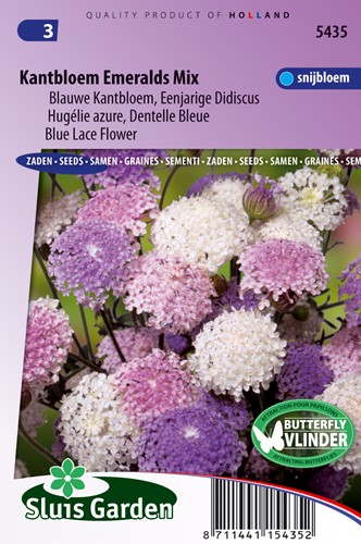 Fiore Merletto Smeraldi Mix (Didiscus)